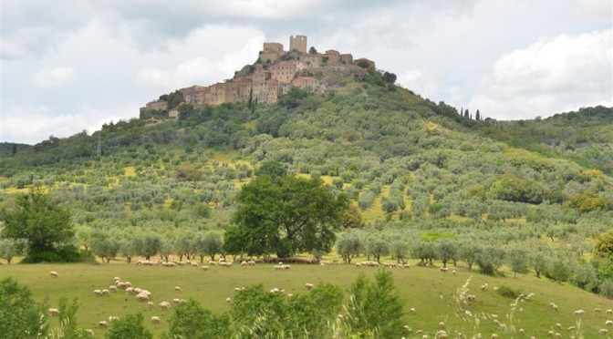 Toskana Mai 2014   Tenuta Il Sassone