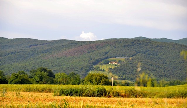 Toskana Mai 2016  Tenuta il Sassone